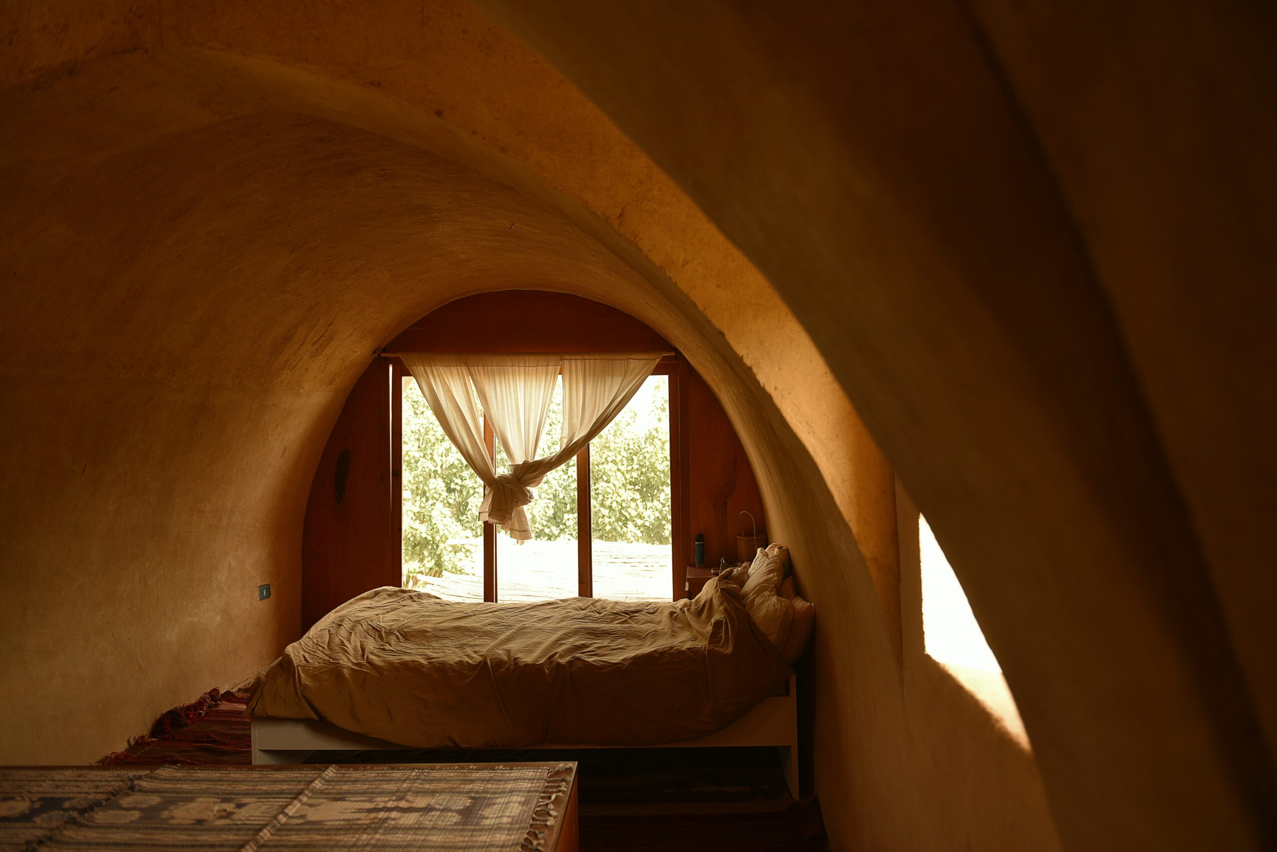 mhmd sedky ctpubrlp7iq unsplash