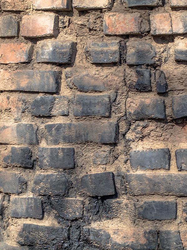 net 1 éco·r – nettoyant détergent concentré, polyvalent intérieur/extérieur net 1 éco·r – nettoyant détergent concentré, polyvalent intérieur/extérieur