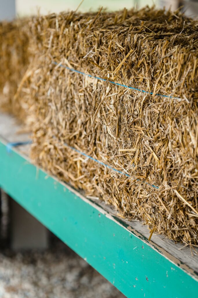 pexels greta hoffman 7728305